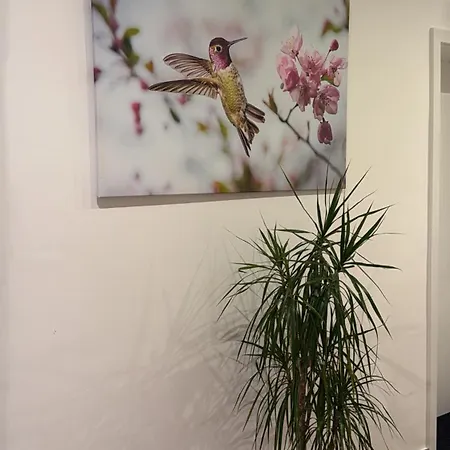 Habitación en casa particular Schoenes Zimmer-2 Stuttgart-mitte Stuttgart